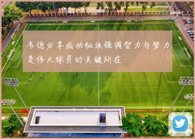 韦德分享成功秘诀强调智力与努力是伟大球员的关键所在