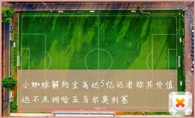 小蜘蛛解约金高达5亿记者称其价值远不及姆哈亚马尔奥利塞